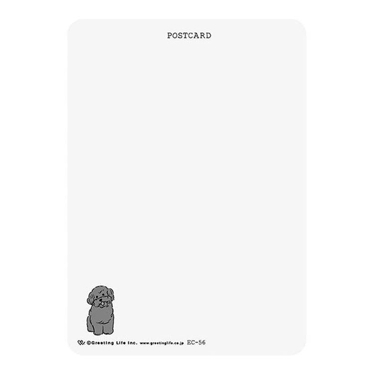 Soft-Touch Dog Postcard | Toy Poodle — detail