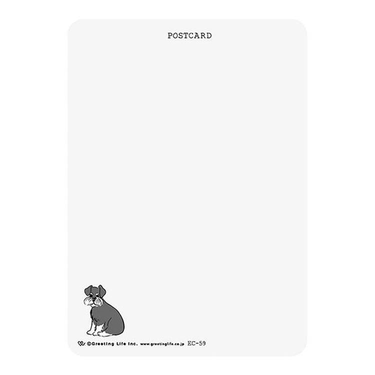 Soft-Touch Dog Postcard | Schnauzer — detail